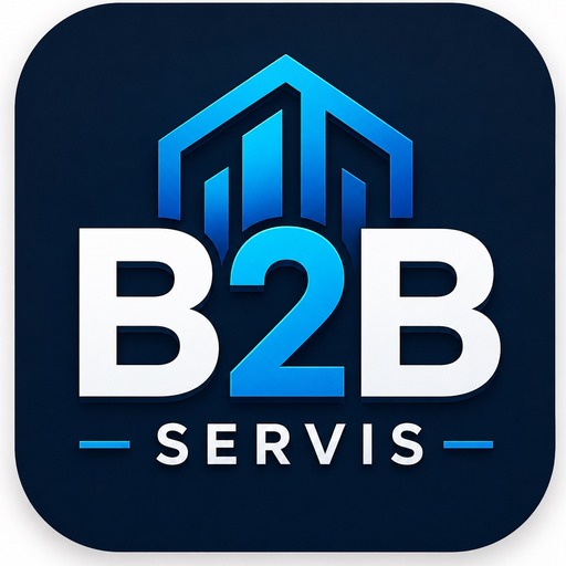 B2B Servis
